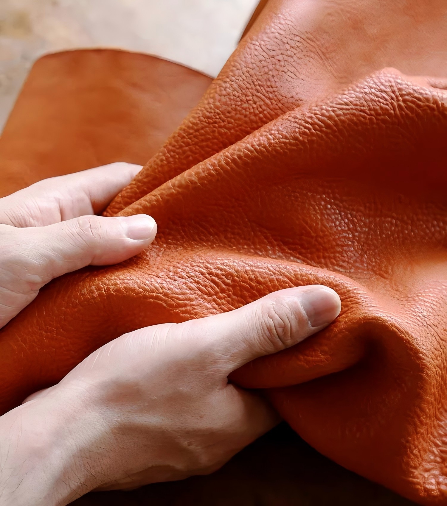 Hand modifiers, specialty auxiliaries for finishing