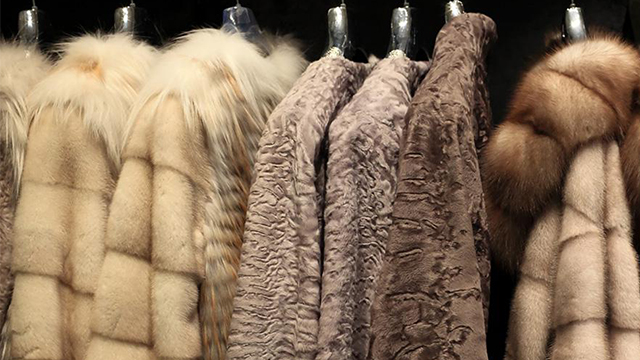 Auction | Kopenhagen Fur Announces July 2026 Auction in Poznań, Poland