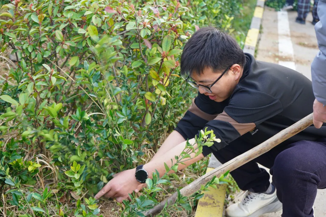 Hoffen Updates | Sowing Green, Shaping the Future — Arbor Day Initiative