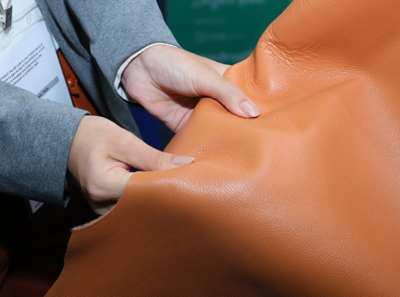 Brazil Releases Leather Export Data for March 2026