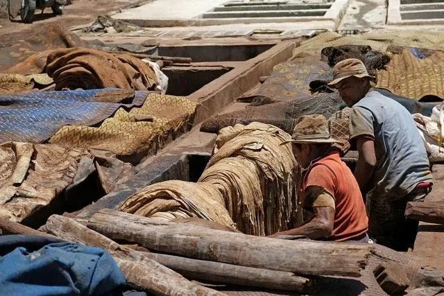 India's Leather Industry Exports Declined by 1.66% Year-on-Year in Fiscal Year 2025–2026.