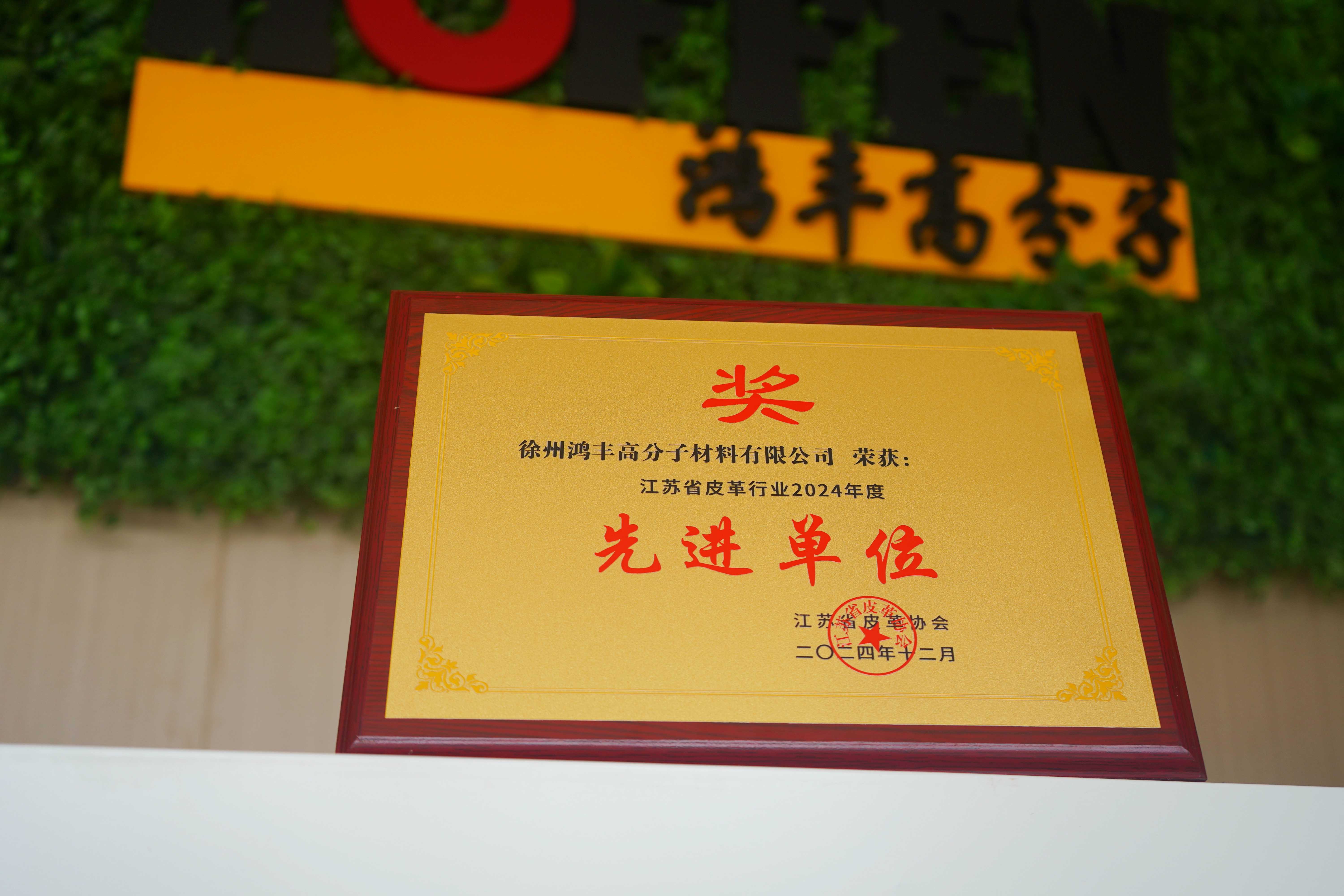 鸿丰荣誉 | 热烈祝贺鸿丰高分子荣获江苏省皮革行业“先进单位”称号