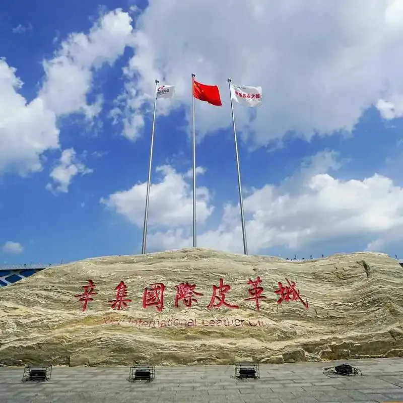 市长坐镇！多家辛集皮革特色企业吐心声，这场会议释放重要信号