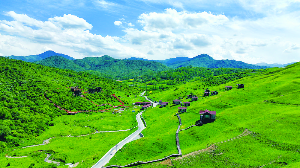 临夏州质量强链典型案例——四大变革助力皮革纺织产业链高质量发展