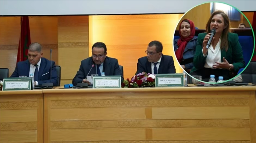 摩洛哥皮革行业获批百亿投资