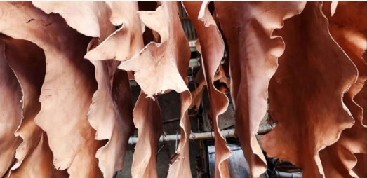 孟加拉国皮革业发展受困