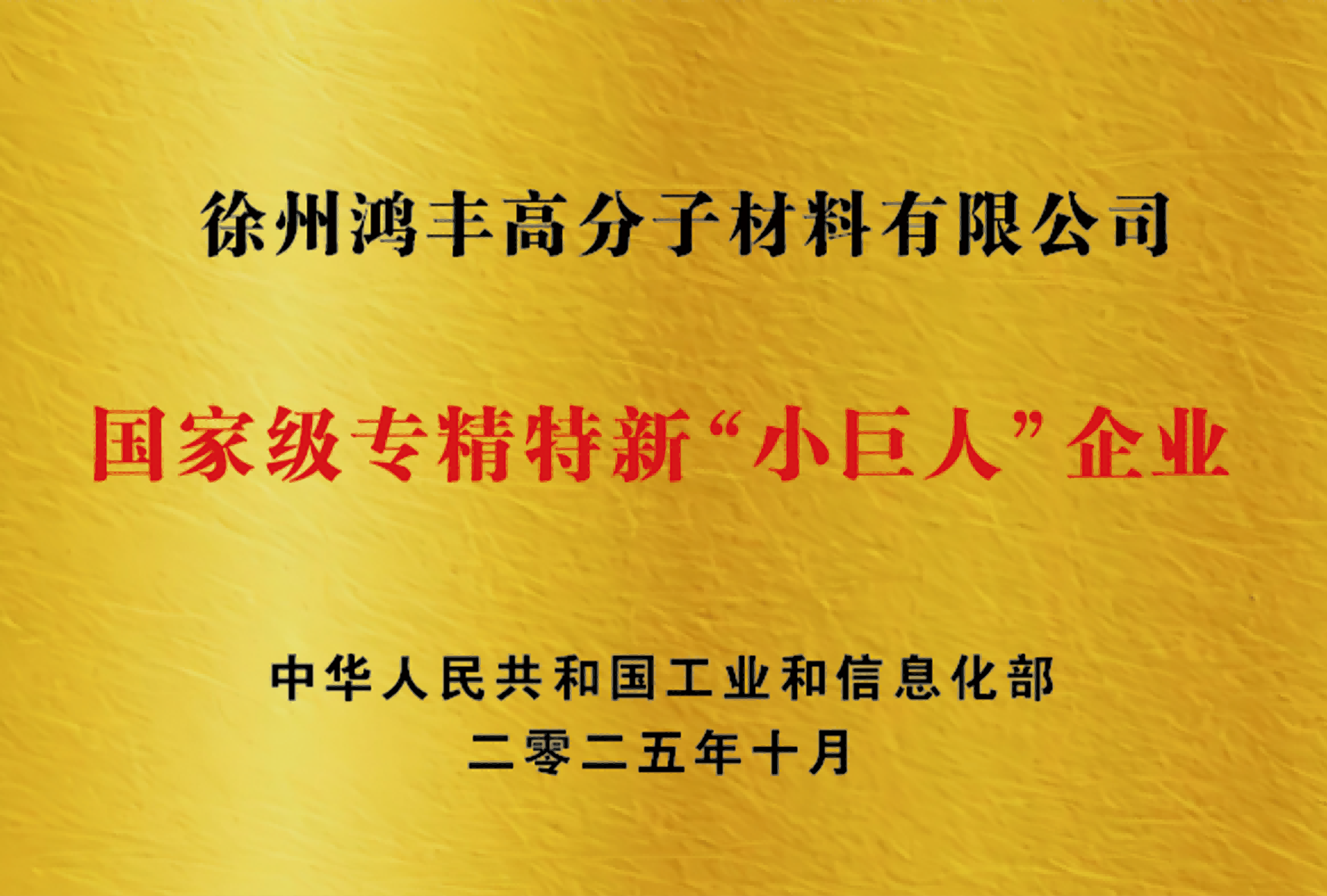 鸿丰喜报 | 热烈祝贺鸿丰高分子荣获国家级专精特新“小巨人”企业称号