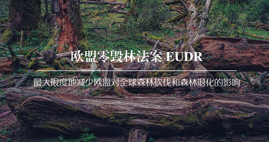 中国皮革协会积极响应“关于《欧盟零毁林法案》对牛皮及皮革贸易影响的联名信”